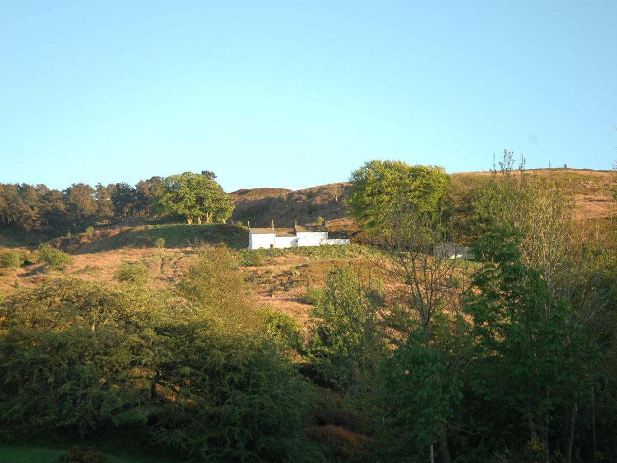 אילקלי Garden Cottage מראה חיצוני תמונה